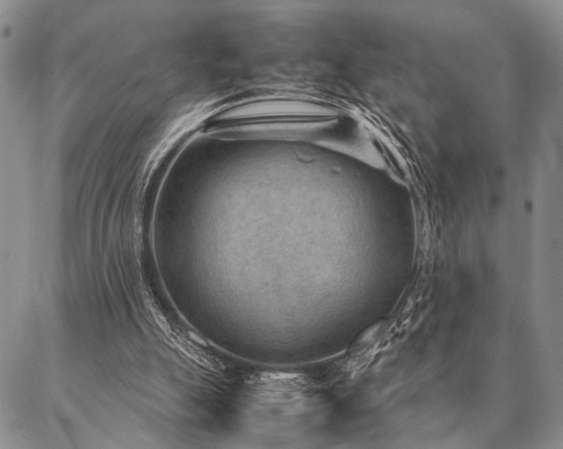 X0000087310055200704271412