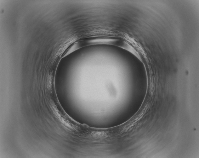 X0000087310057200704271412