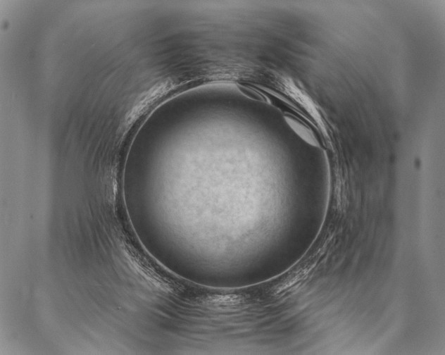 X0000087310059200704271413
