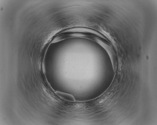X0000087310060200704271413