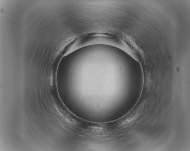 X0000087310068200704271413