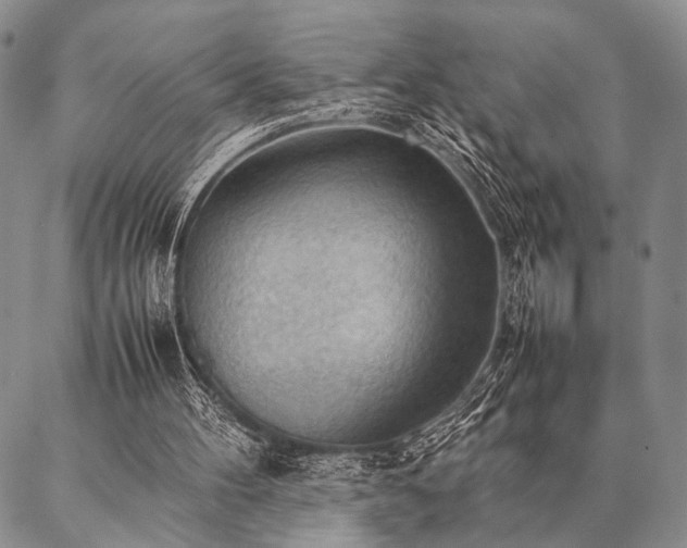 X0000087310100200704271412
