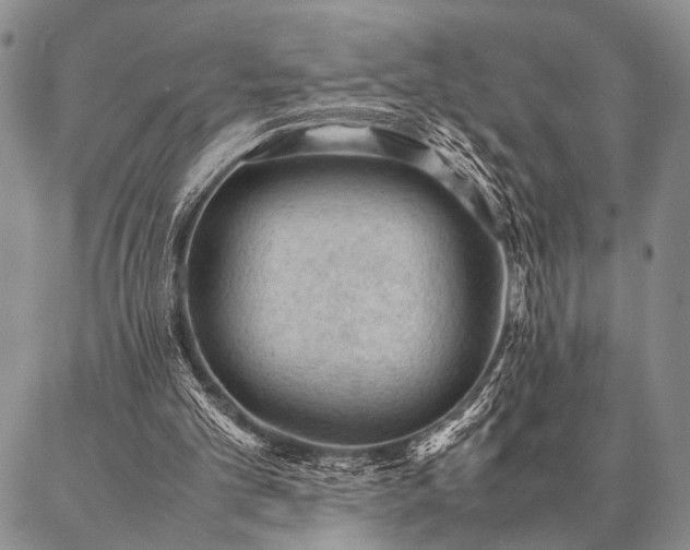 X0000087310101200704271412