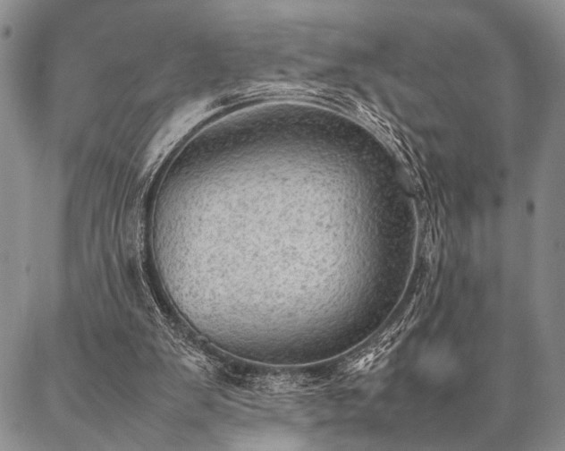 X0000087310103200704271412