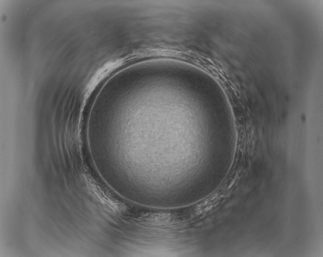 X0000087310104200704271412