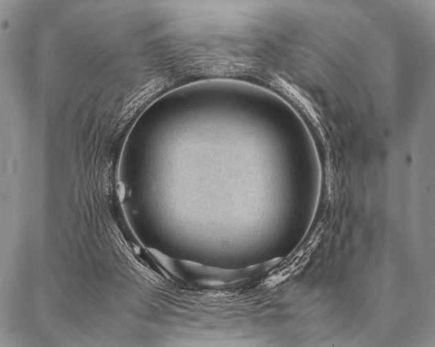 X0000087310105200704271412