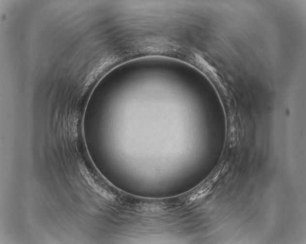 X0000087310106200704271412