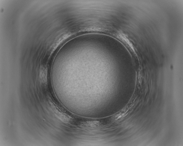 X0000087310108200704271412