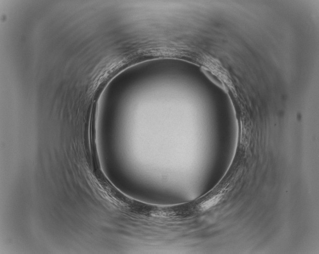 X0000087310109200704271412