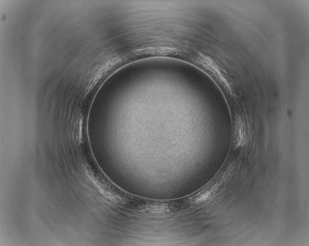 X0000087310110200704271412