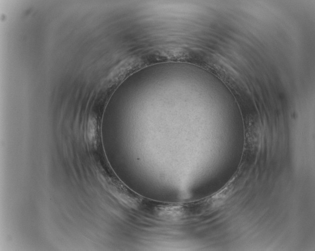 X0000087310132200704271412