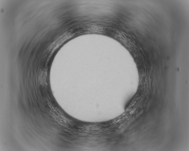 X0000087310146200704271411