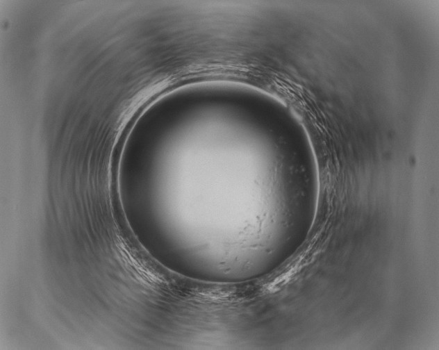 X0000087310148200704271411