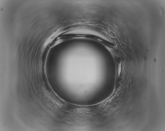 X0000087310150200704271411