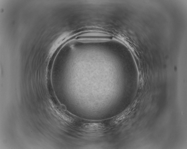 X0000087310151200704271411
