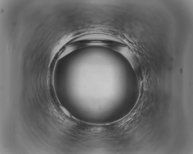 X0000087310152200704271411