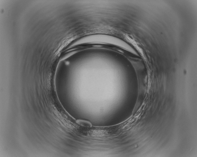 X0000087310154200704271411