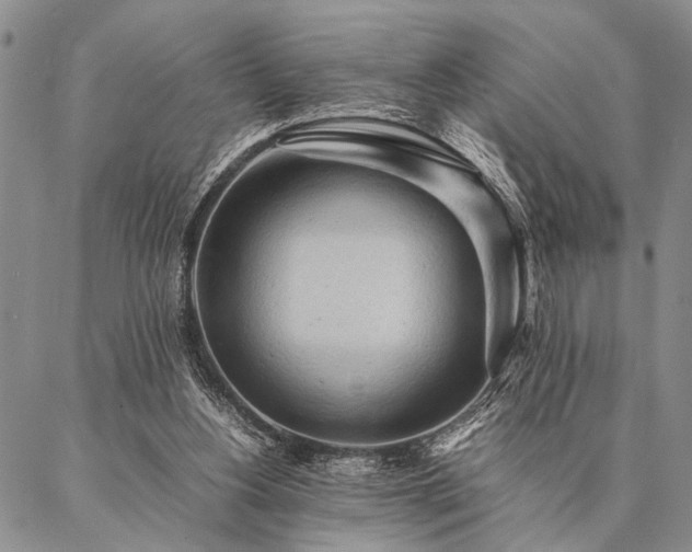 X0000087310156200704271411
