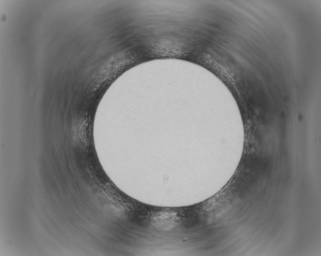 X0000087310162200704271411
