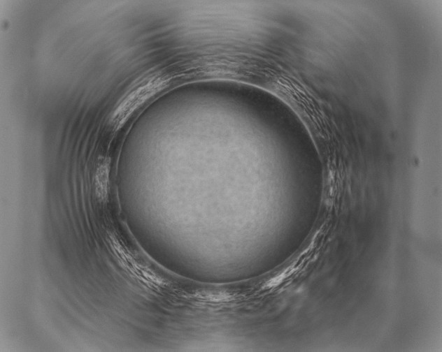 X0000087310194200704271411