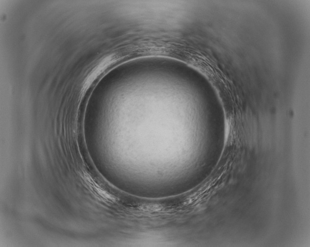 X0000087310195200704271411