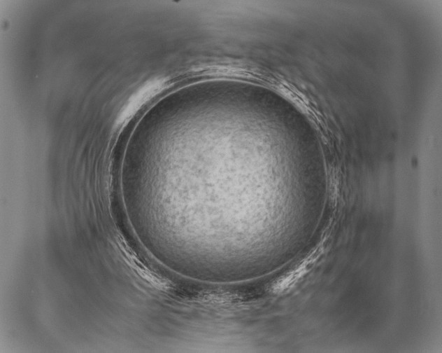X0000087310199200704271411
