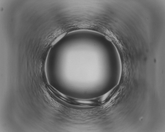 X0000087310201200704271411