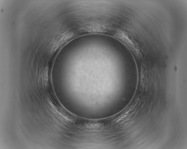 X0000087310202200704271411
