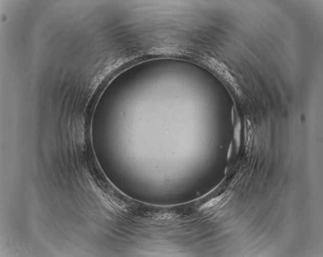 X0000087310204200704271411