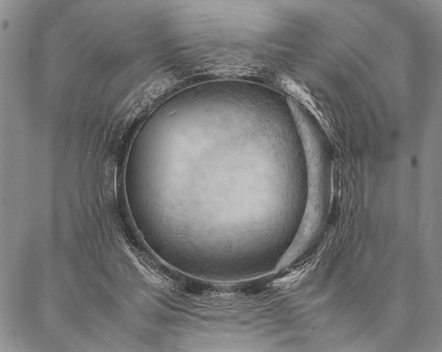 X0000087310205200704271411