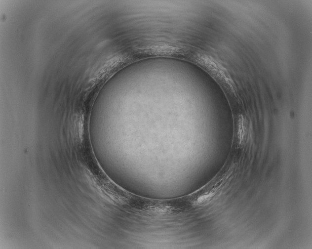X0000087310206200704271411