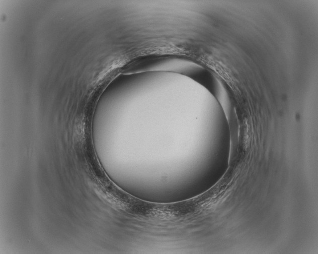X0000087310207200704271411