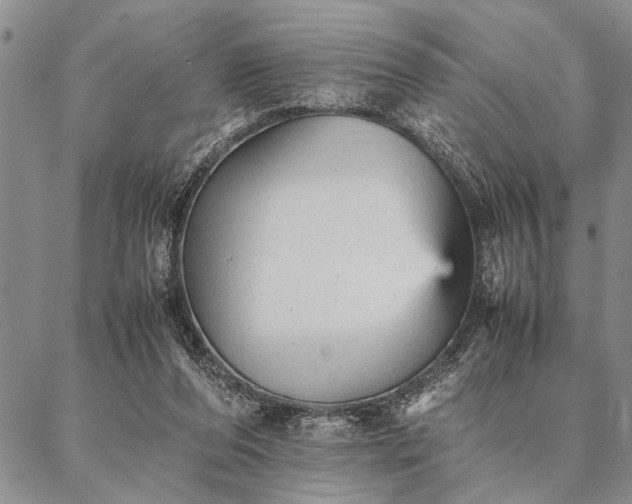 X0000087310208200704271411