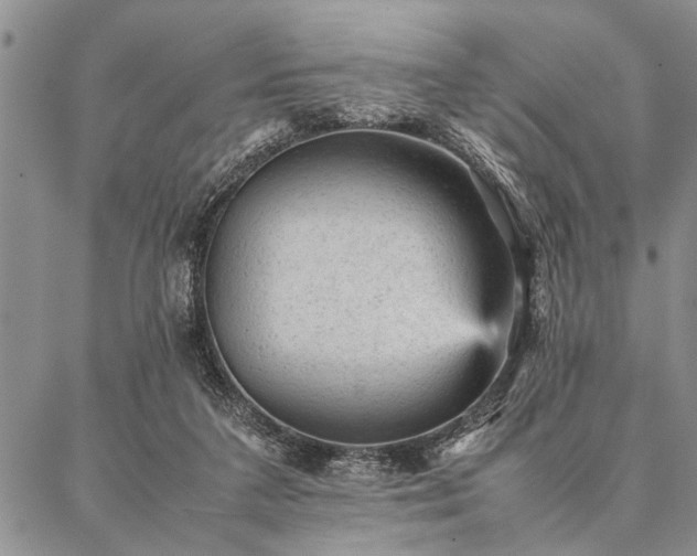 X0000087310211200704271410