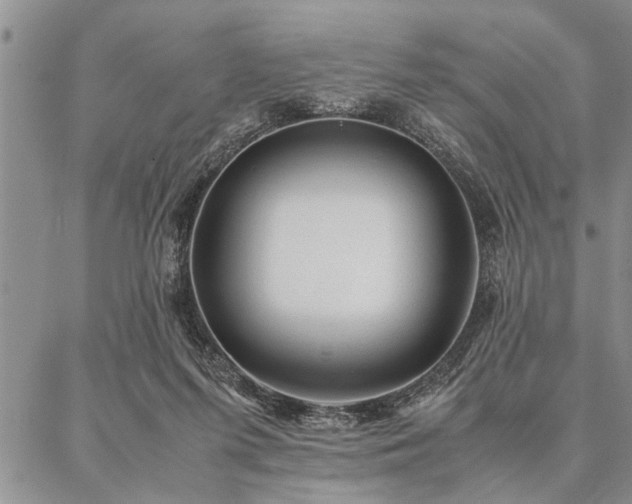 X0000087310215200704271410