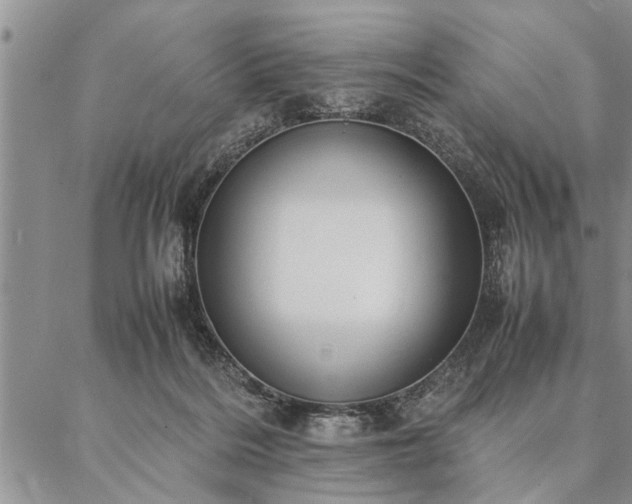 X0000087310220200704271410