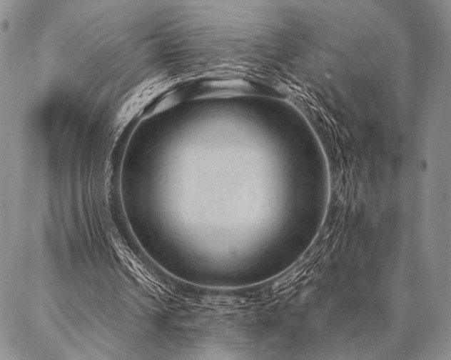 X0000087310242200704271409
