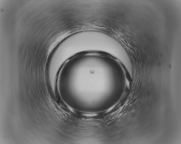 X0000087310244200704271409