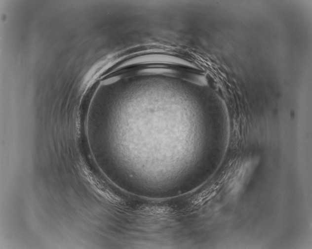 X0000087310247200704271409