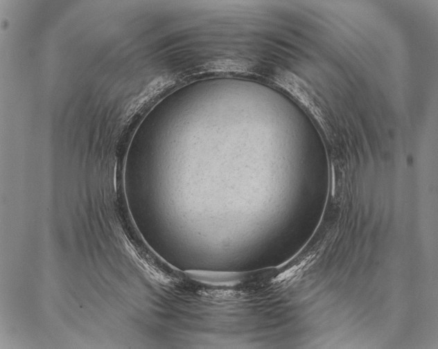X0000087310253200704271409