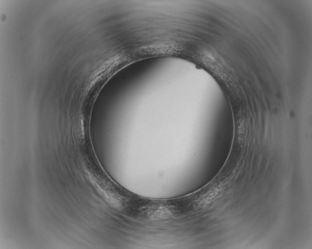 X0000087310254200704271409