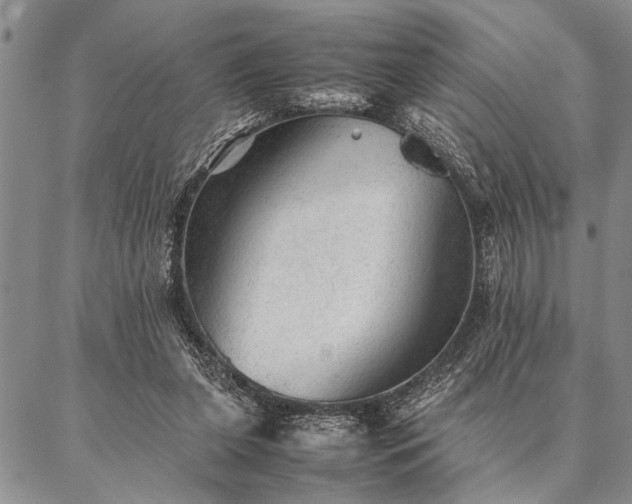 X0000087310255200704271409