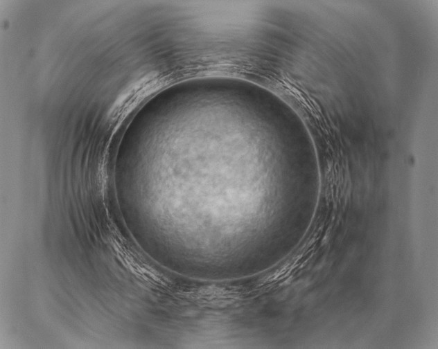 X0000087310290200704271409