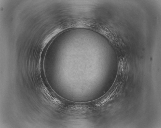 X0000087310292200704271409