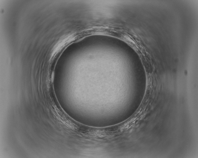 X0000087310293200704271409