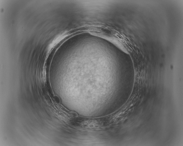 X0000087310294200704271409