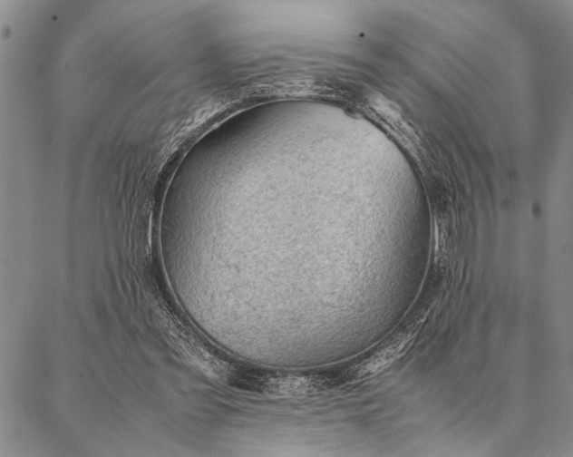 X0000087310301200704271409