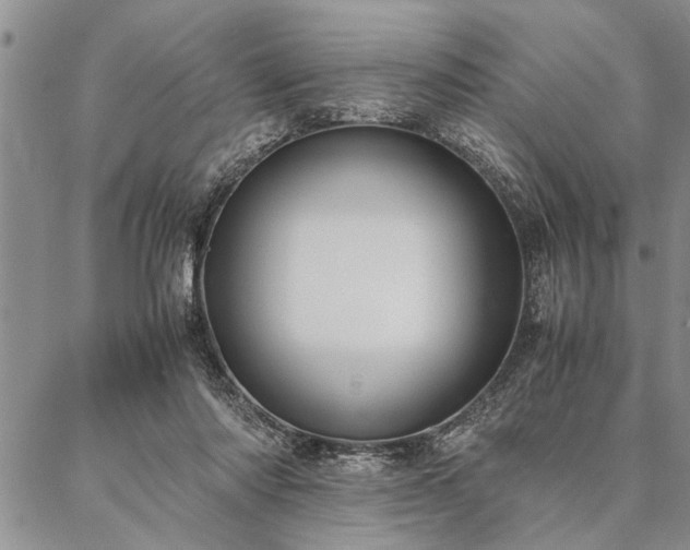 X0000087310310200704271409