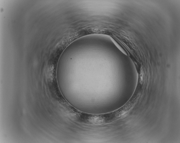 X0000087310319200704271409
