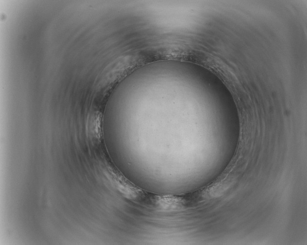 X0000087310336200704271408